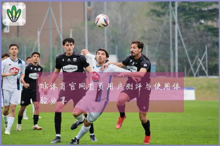 mk体育官网首页用户测评与使用体验分享