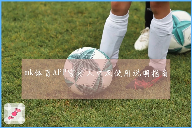 mk体育APP官方入口及使用说明指南