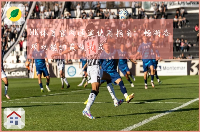 MK体育官网通道使用指南：畅游各项功能的最佳方式