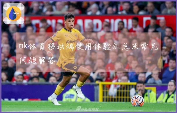 mk体育移动端使用体验汇总及常见问题解答