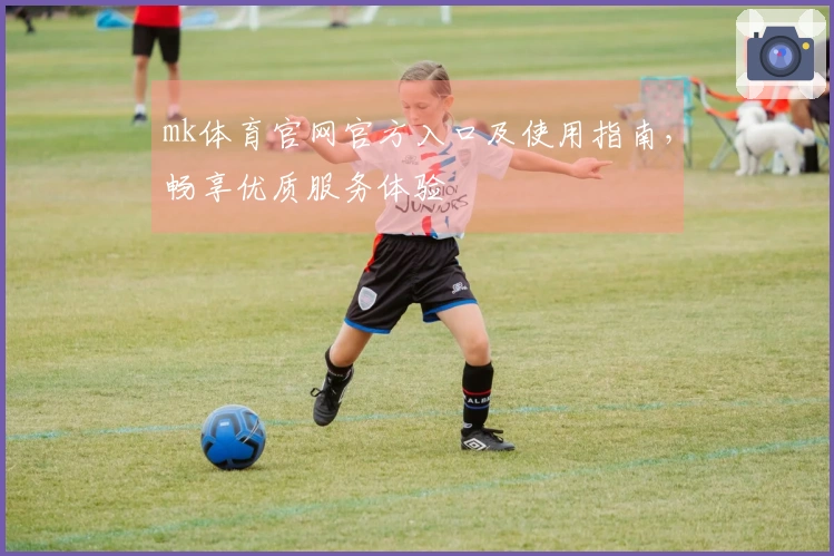 mk体育官网官方入口及使用指南，畅享优质服务体验