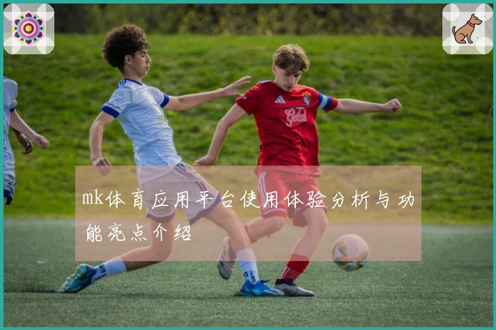 mk体育应用平台使用体验分析与功能亮点介绍